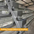 Poultry Equipment Manufacturer Tianrui Layer Poultry Farm House Design